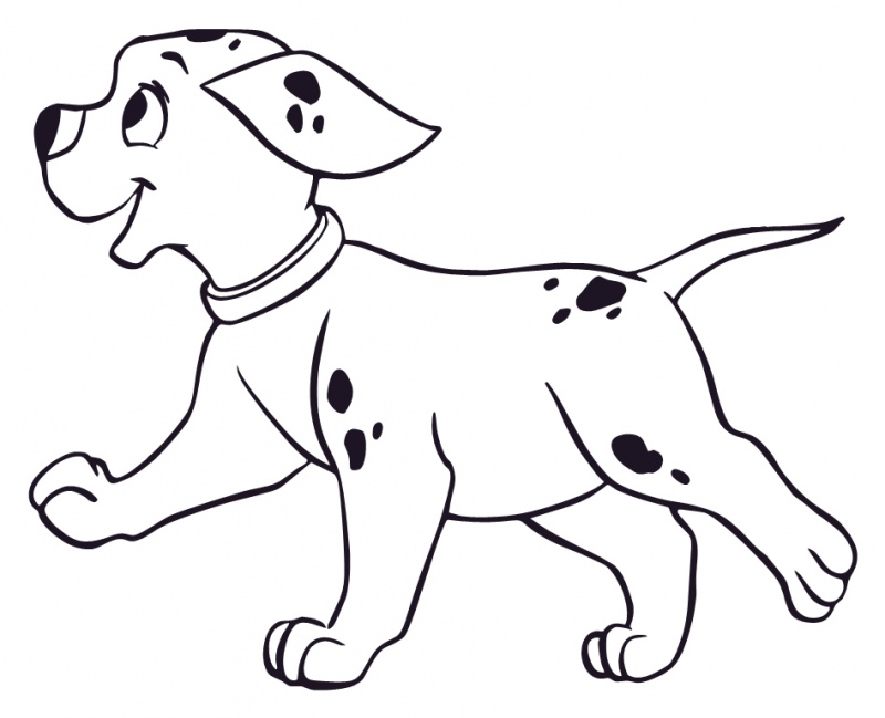 DALMATIAN PUPPY 0804 Self adhesive vinyl Sticker Decal | Signs by Post