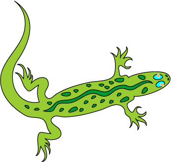 Lizard Clip Art - Clipart library