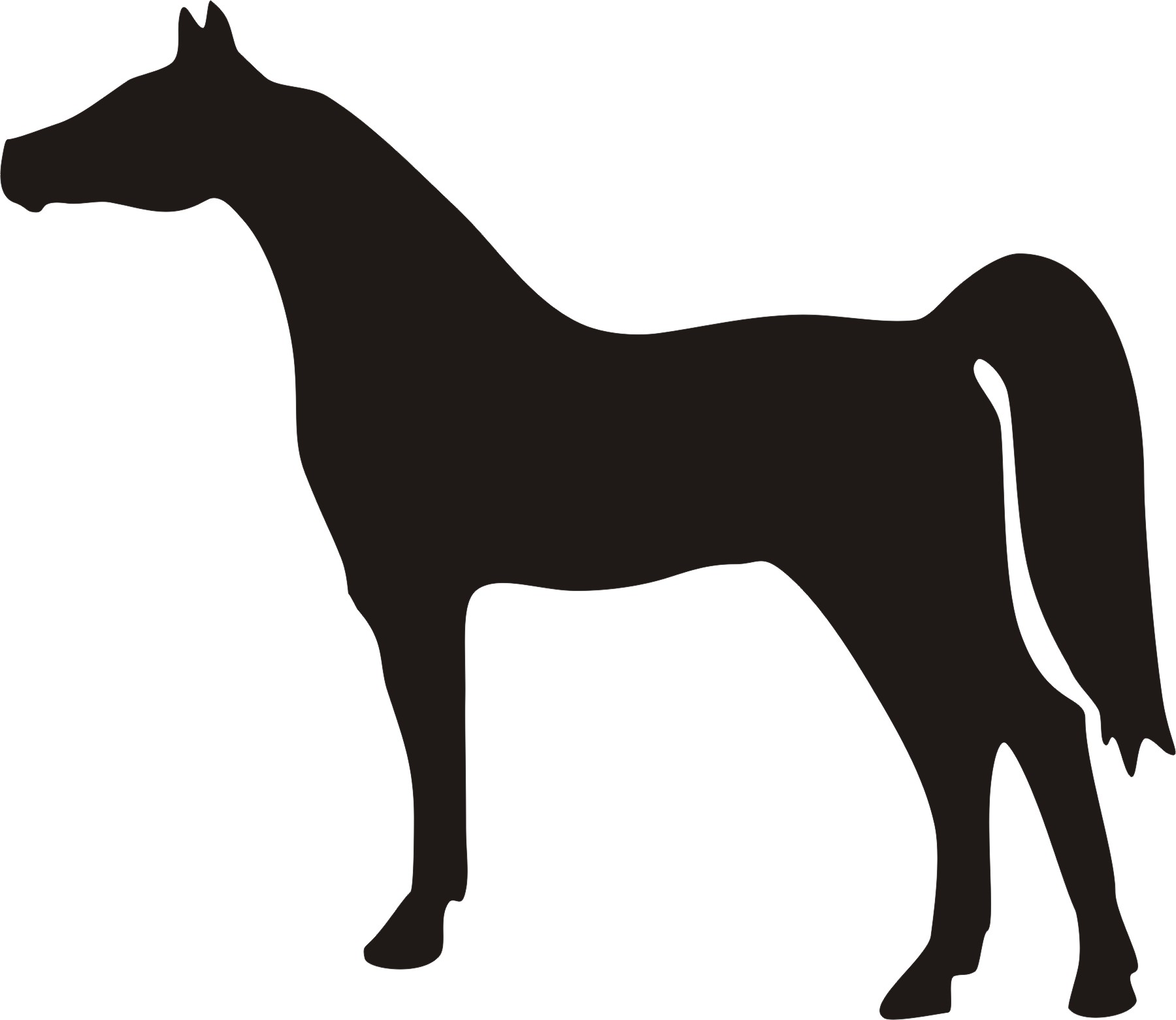 Pix For  Horse Hunter Silhouette