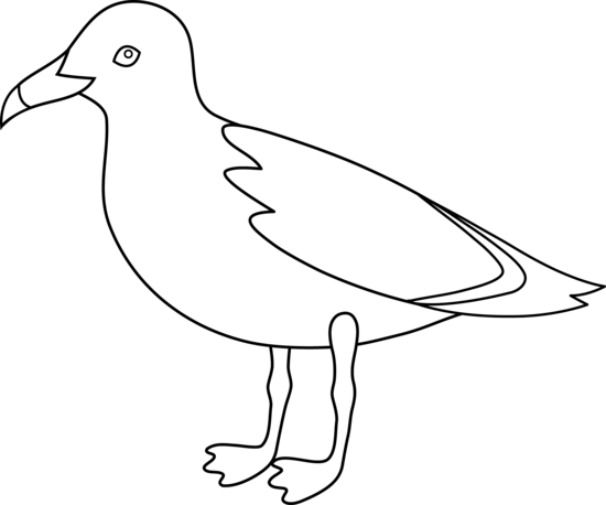Seagull Line Art - Free Clip Art
