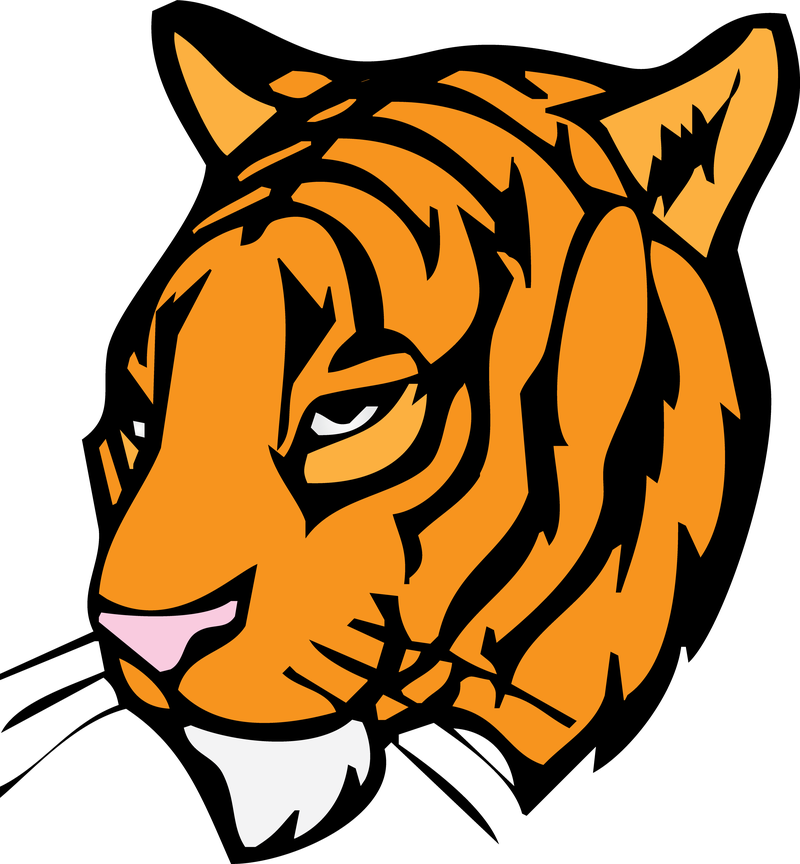 Tiger Head - Free Vector Download | Qvectors.