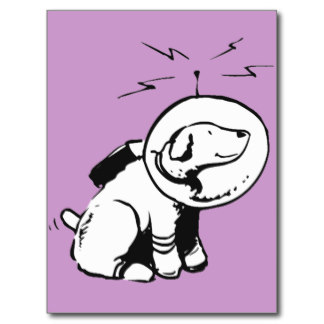 Space Suit Cards, Photo Card Templates, Invitations  More