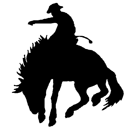 Cowboy Rodeo Decal, cowboy decals, cowgirl stickers, country 