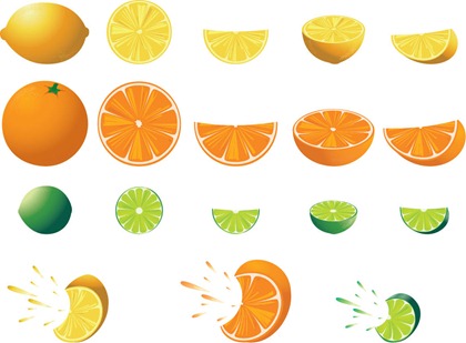 Free Citrus Fruit Vector | Free Vector Graphics | All Free Web 