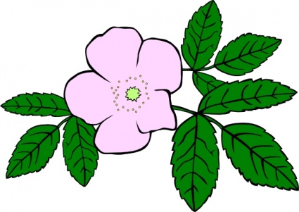 Rose clip art - Download free Nature vectors - Clipart library 