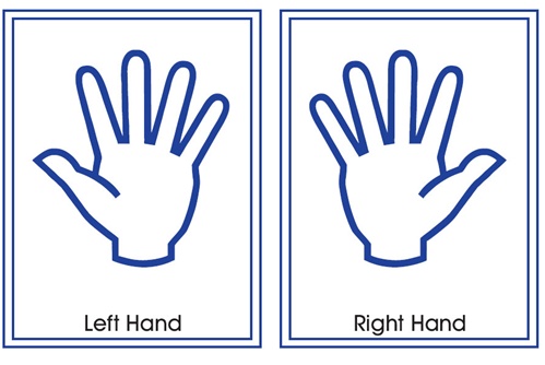 LEFT HAND- RIGHT HAND