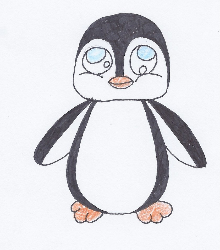 Download Penguin Drawing Cartoon Background