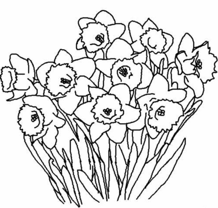 spring clip art coloring pages - photo #22