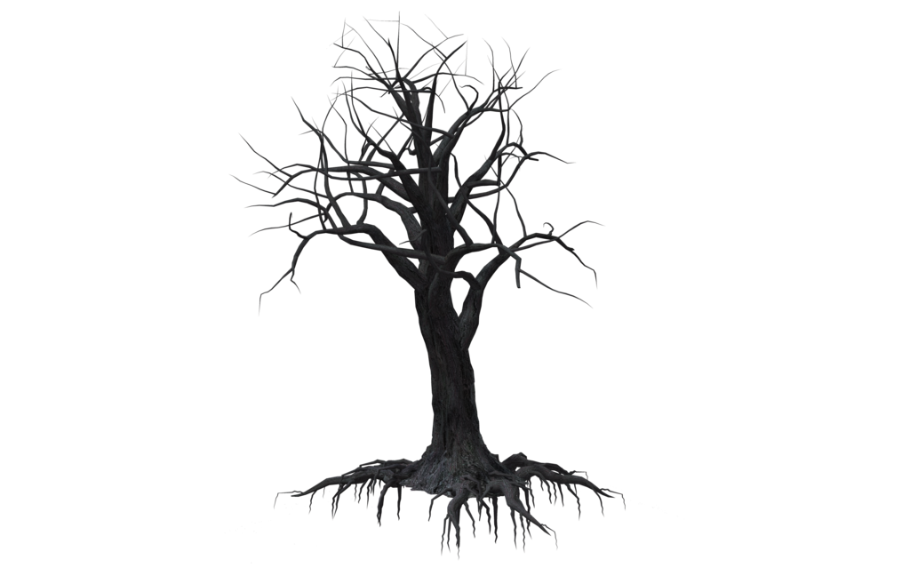 Creepy Tree 02 by wolverine041269 on Clipart library