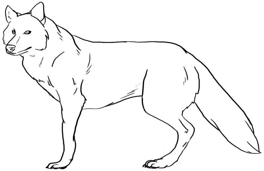 Wolf Line Art 2 by Kendra-candraw on Clipart library