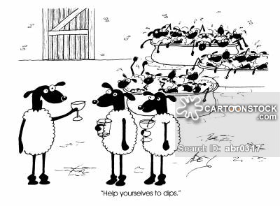 Sheep Dip Cartoons and Comics - funny pictures from CartoonStock