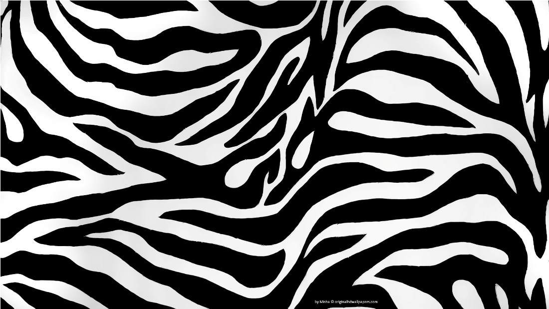 Zebra Backgrounds 4 Wide Background And Wallpaper Home Design 