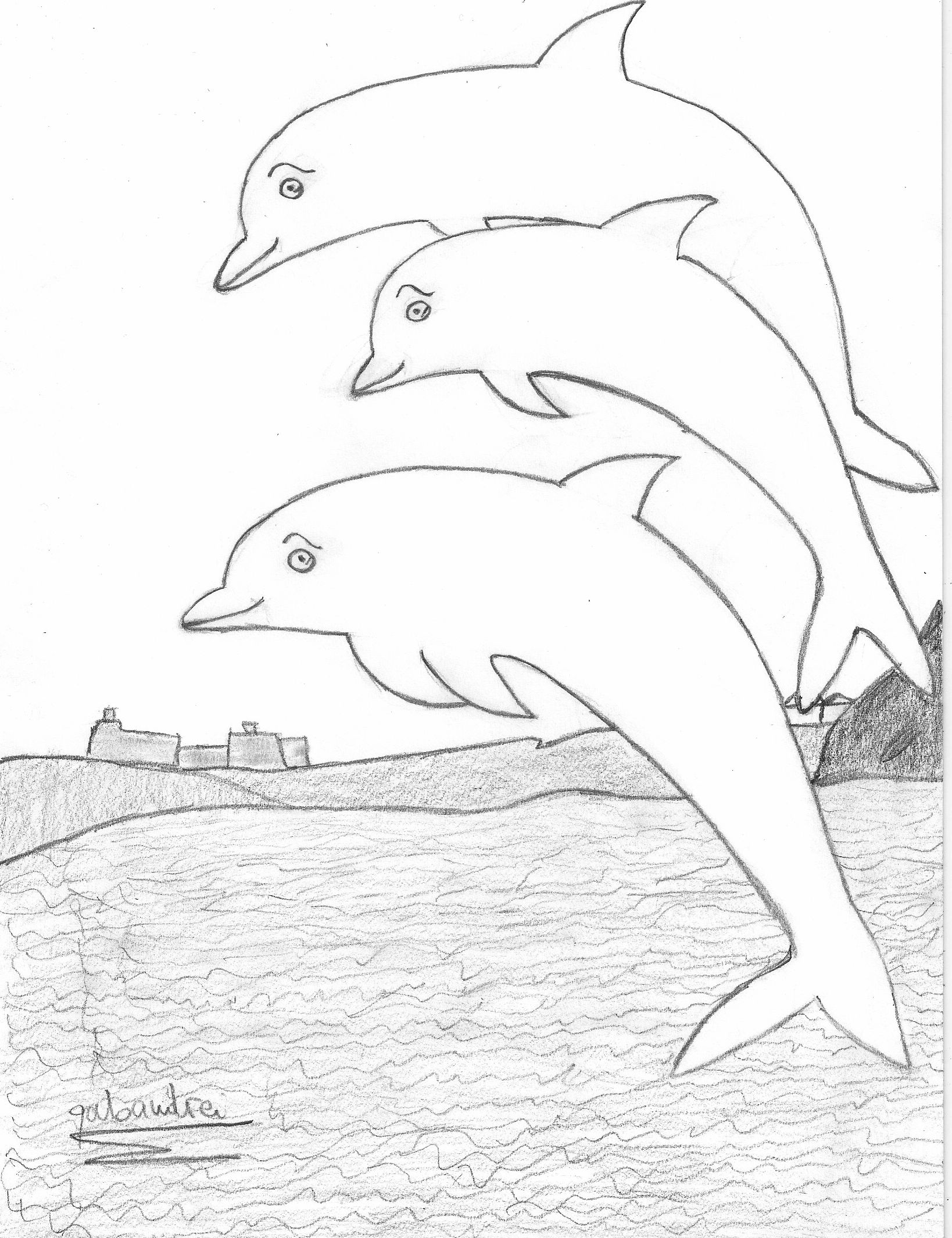 Free Dolphin Drawings Download Free Clip Art Free Clip