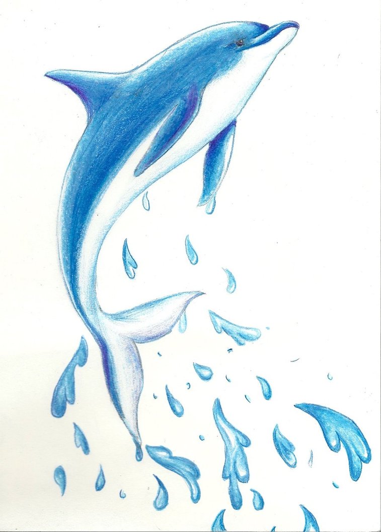 Draw Dolphin Jumping Out Water images