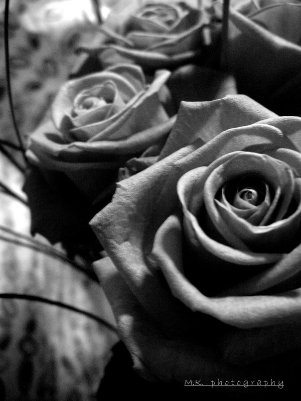 Roses are Black and White by MK--photography on Clipart library