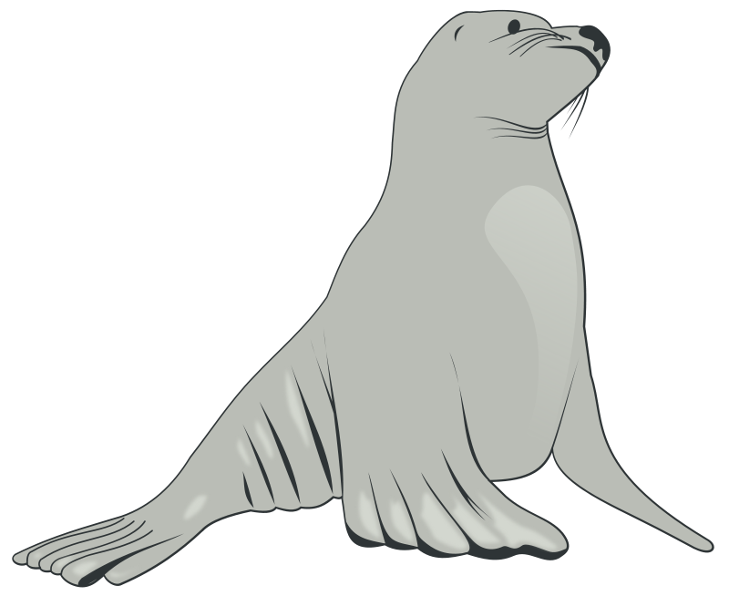 Free to Use  Public Domain Sea Lion Clip Art