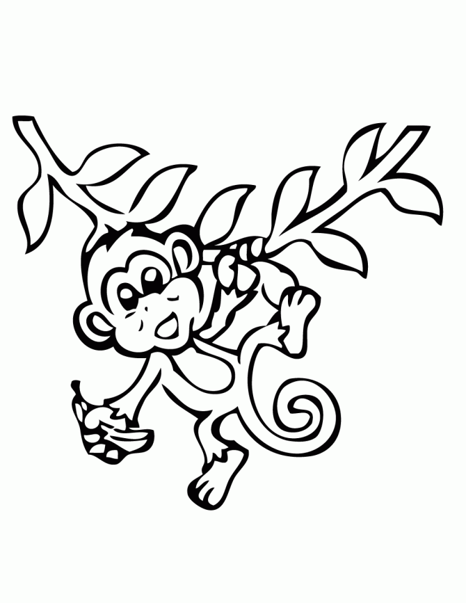 Monkey Coloring Picture