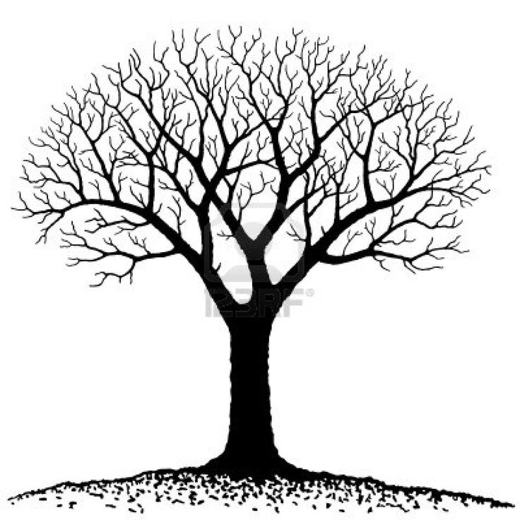 Free Bare Tree Template, Download Free Bare Tree Template png images