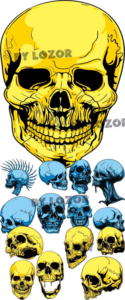 Skulls vector clip art | Free Vector Graphics  Art Design Blog