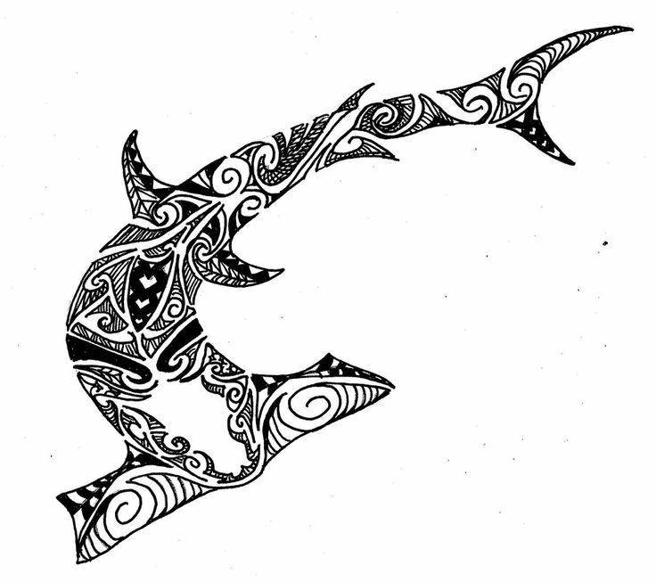 Hammer Shark | Graphics/Drawings | Clipart library