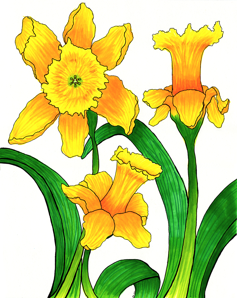 Inspirations and Creations - Daffodil Triplet