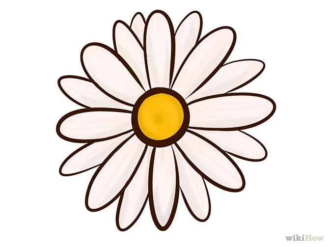 Free Drawing Of Flowers Download Free Clip Art Free Clip Art On Clipart Library