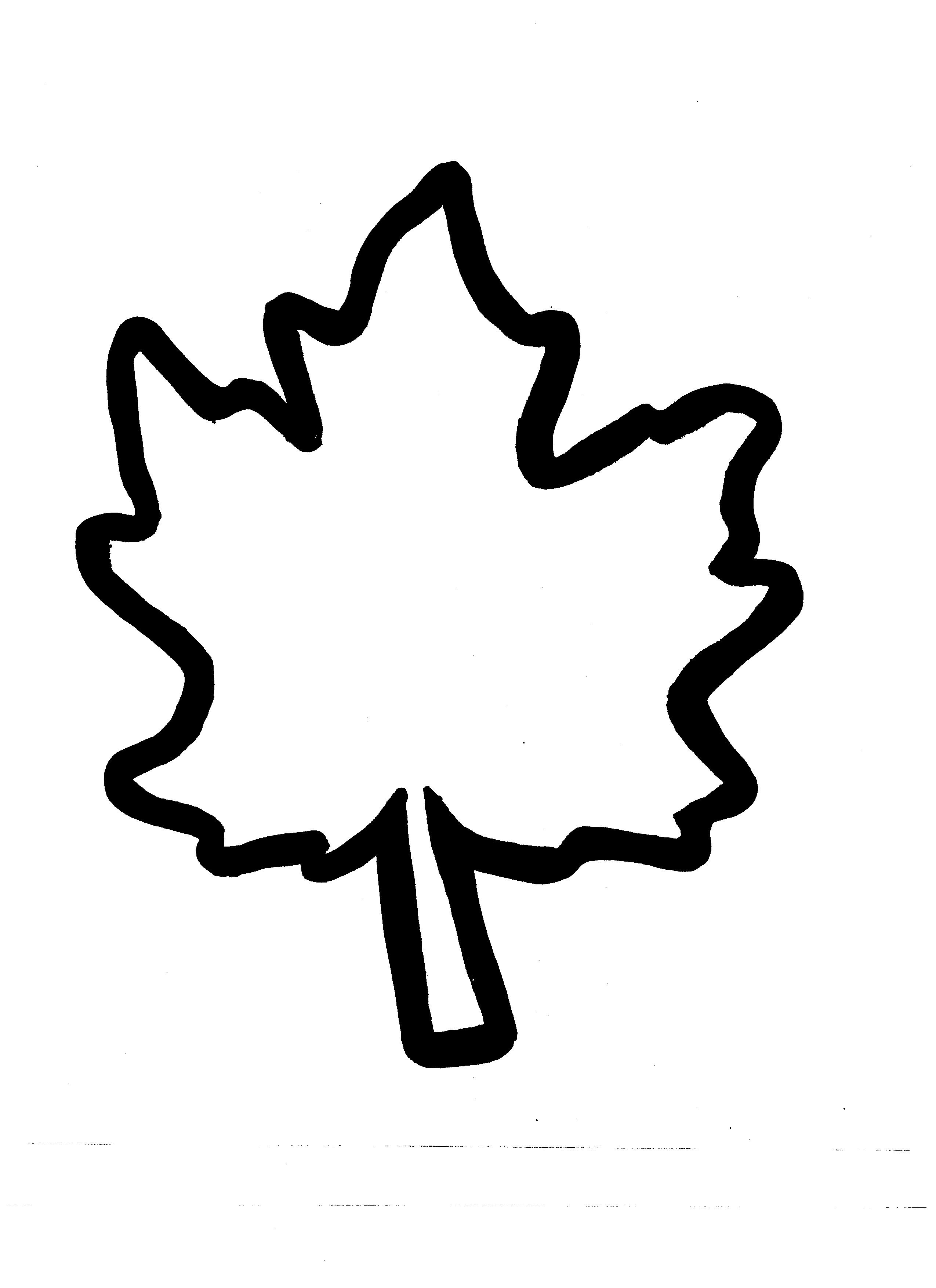 fall leaf outline | Coloring Picture HD For Kids | 2550 