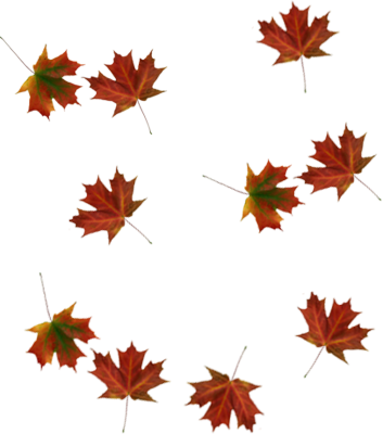 Falling Leaves Pictures And Wallpaper Fallen Tree - Clipart library 
