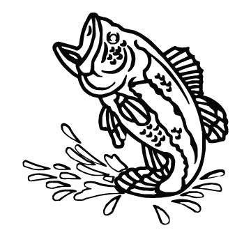Bass Fish Drawings - Clipart library