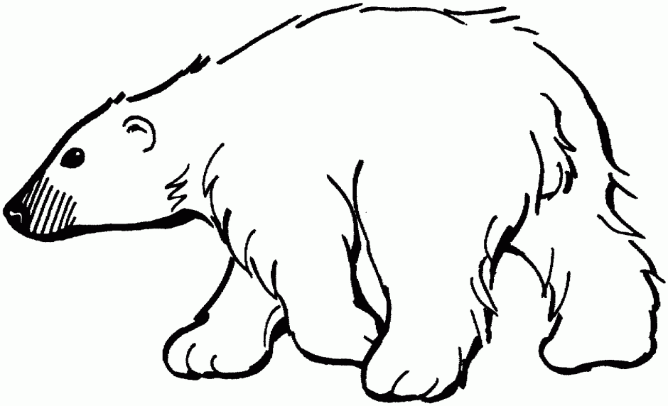 Polar Bear Coloring Pages For Kids Polar Bear Coloring Pages For 