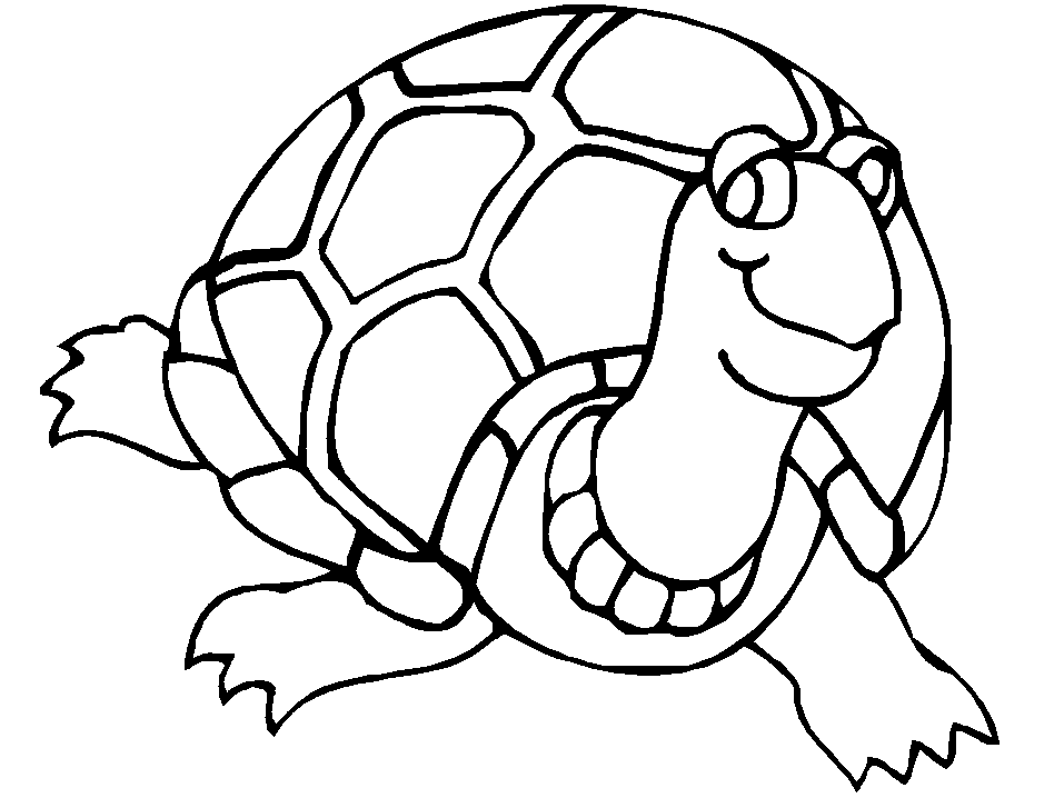 Cartoon Turtle Coloring Pages Background 1 HD Wallpapers | 