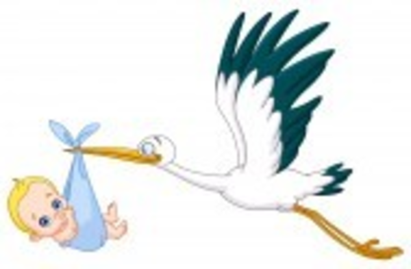 Stork Carrying A Baby Boy image - vector clip art online, royalty 
