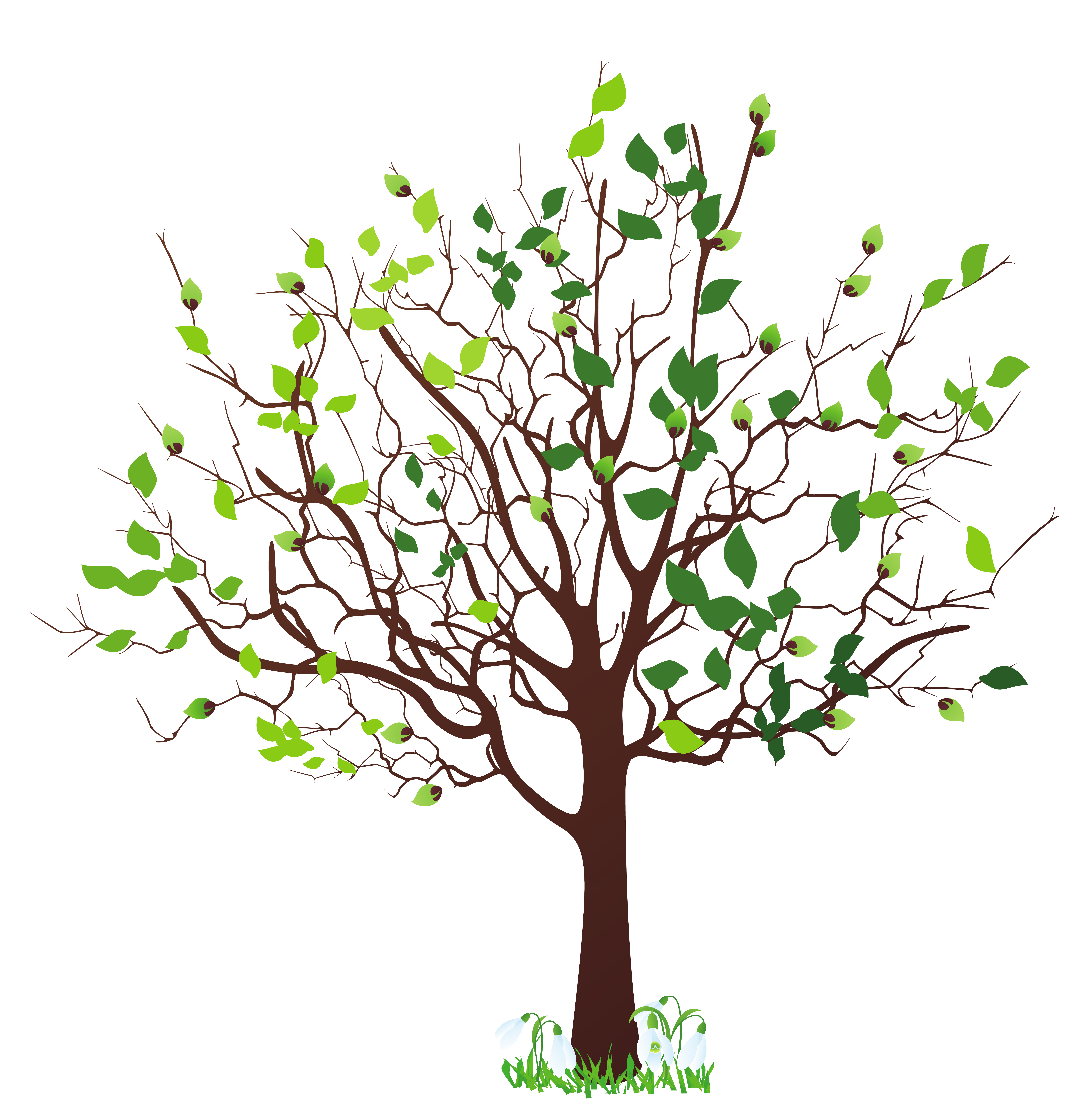 Spring Tree with Snowdrops PNG Clipart Picture