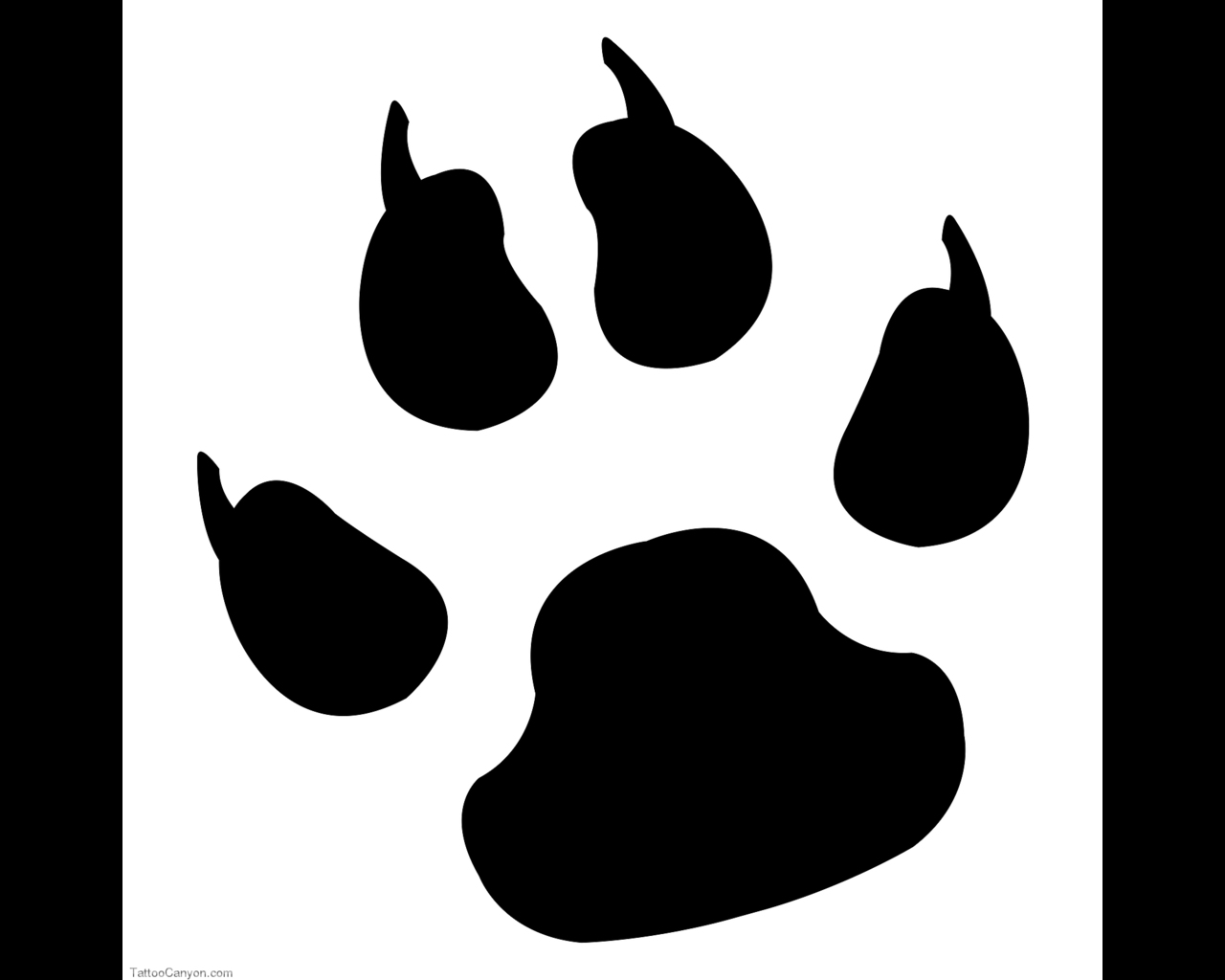 Related Pictures Printable Picture Of Bear Paw Prints Home 