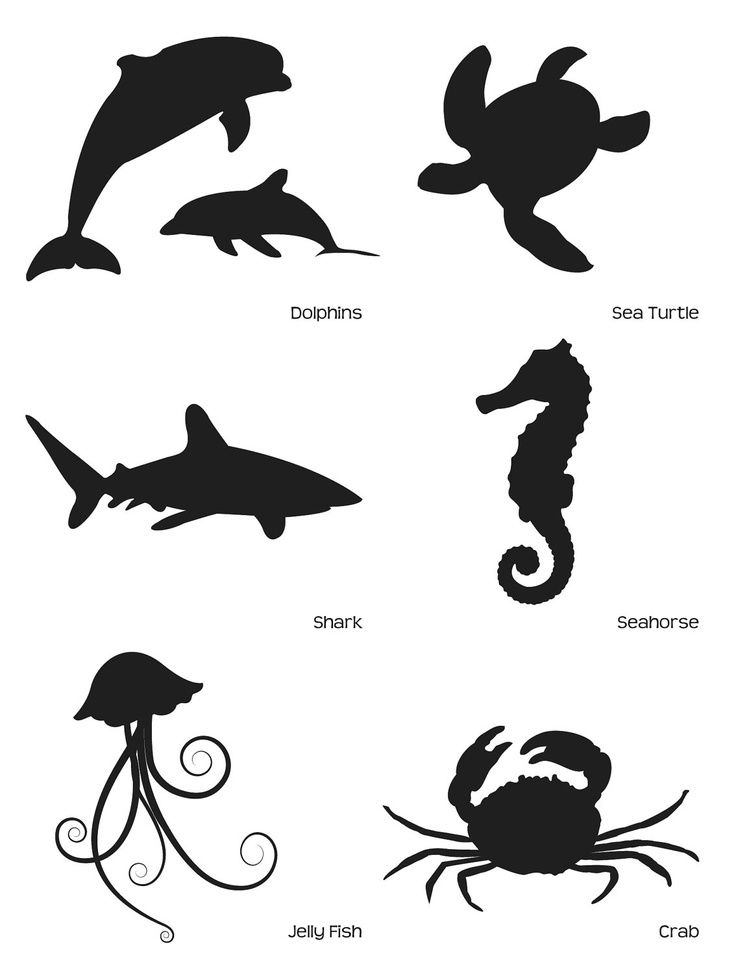 Pin by Anna Leeds on Ocean life | Clipart library