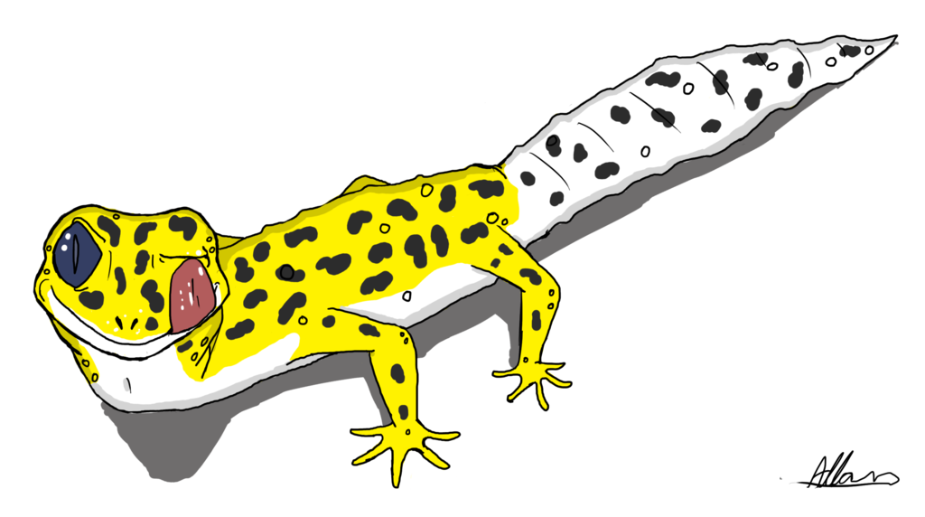 leopard gecko drawing easy - Clip Art Library