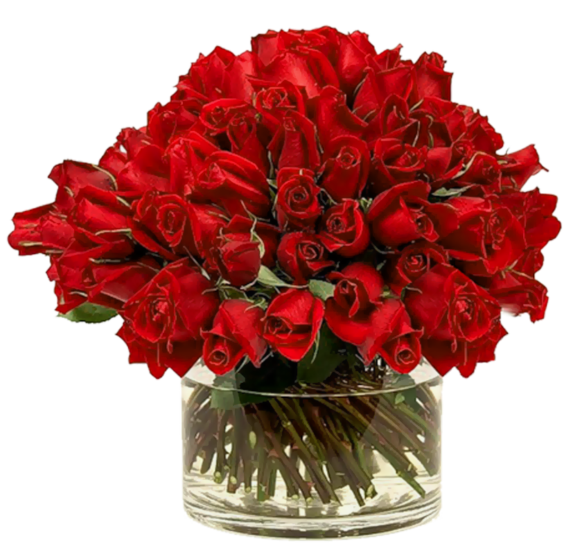 Transparent Red Roses in Vase