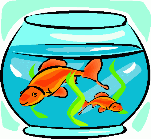 Goldfish Bowl Clipart | Clipart library - Free Clipart Images