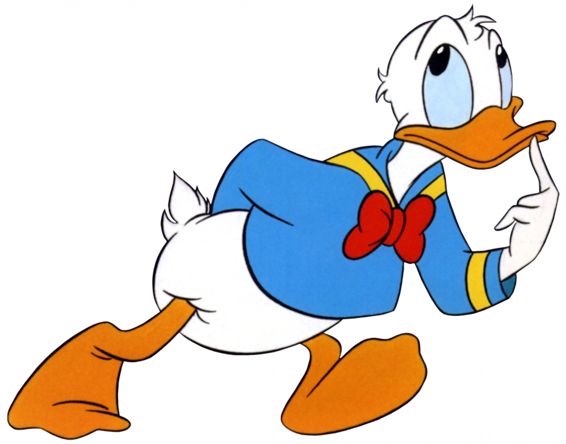 Free Duck Cartoon Pictures, Download Free Duck Cartoon Pictures png images,  Free ClipArts on Clipart Library