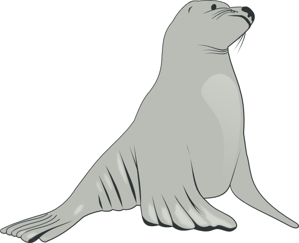 Sea Lion clip art - vector clip art online, royalty free  public 