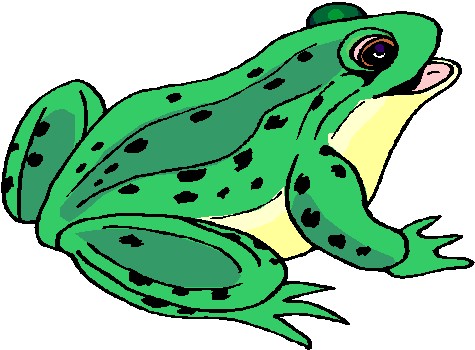 Free Animated Frogs Images, Download Free Animated Frogs Images png images,  Free ClipArts on Clipart Library