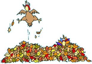 Animated Happy Turkey Day Images  Pictures - Becuo