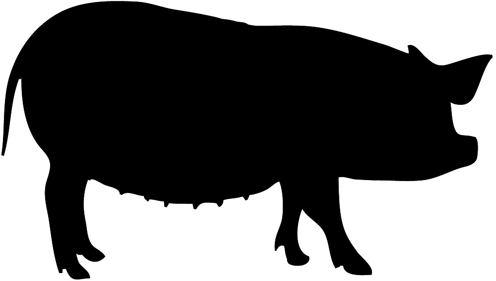 Silhouette Of A Pig - Clipart library