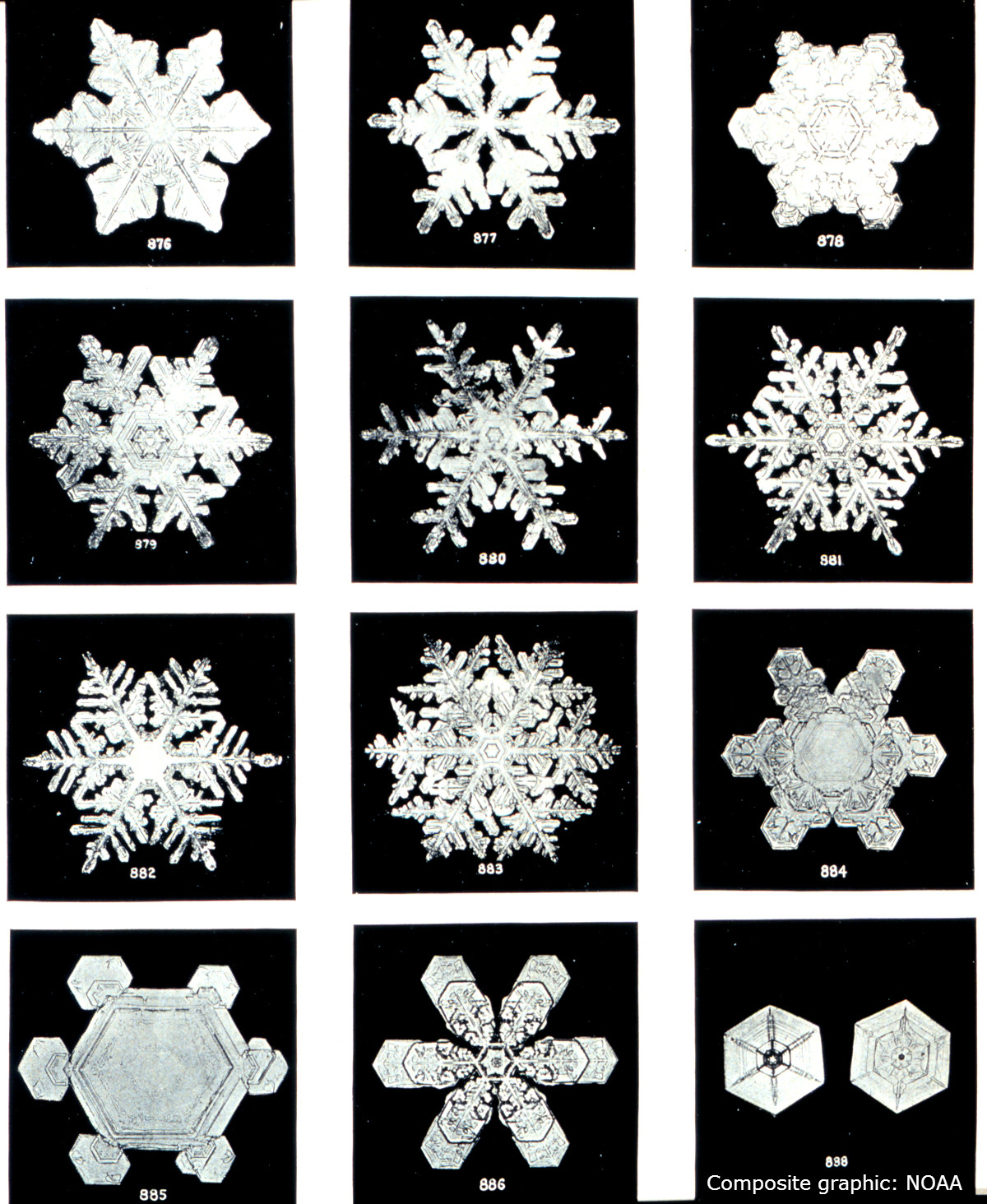 free-snowflakes-download-free-snowflakes-png-images-free-cliparts-on