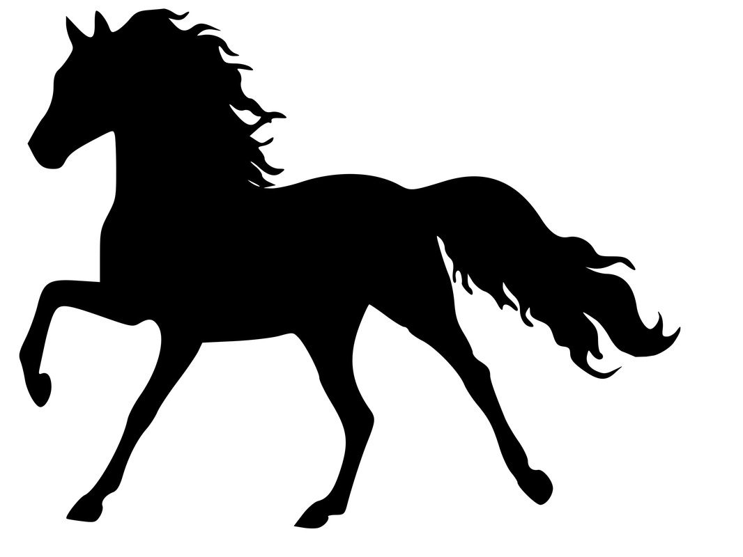 Horse Silhouette In Fashion