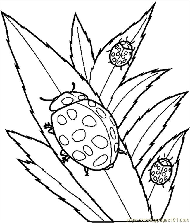 Create Your Own Coloring Book Online | Other | Kids ...