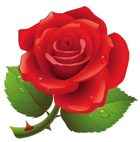 Red Rose PNG Art Picture