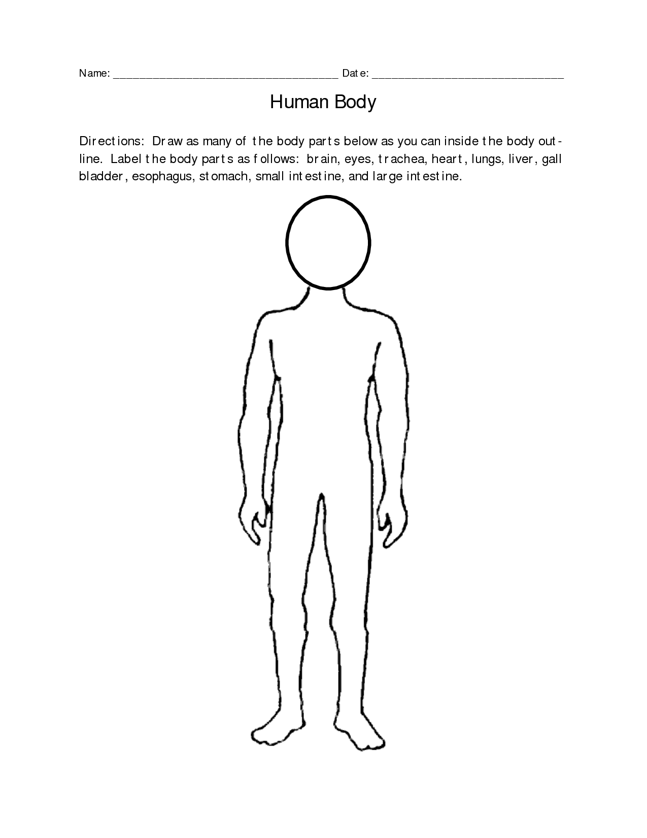 Blank Body Map Template