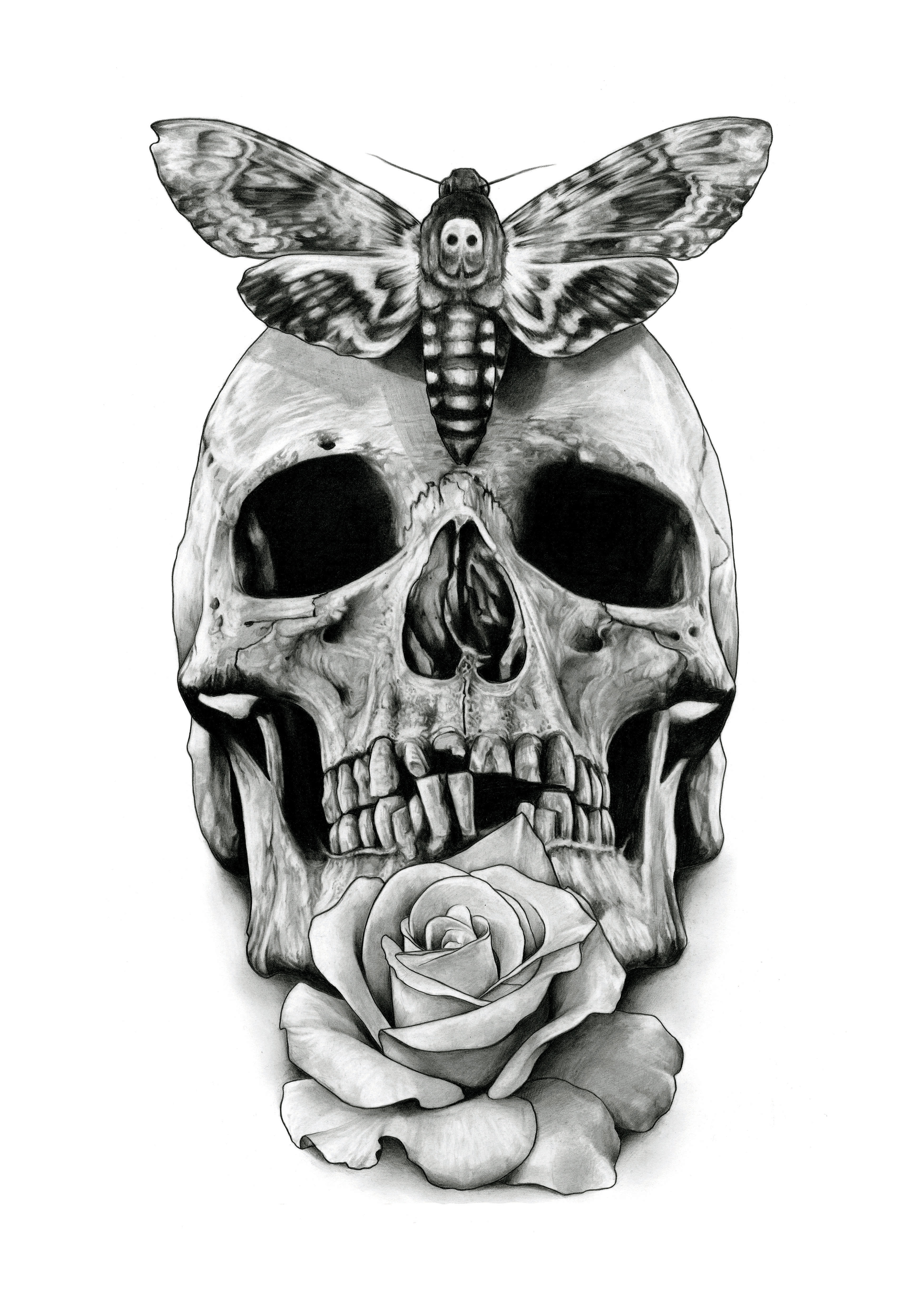 Skull Tattoo design drawing by AaronKingIllustrator on Clipart library