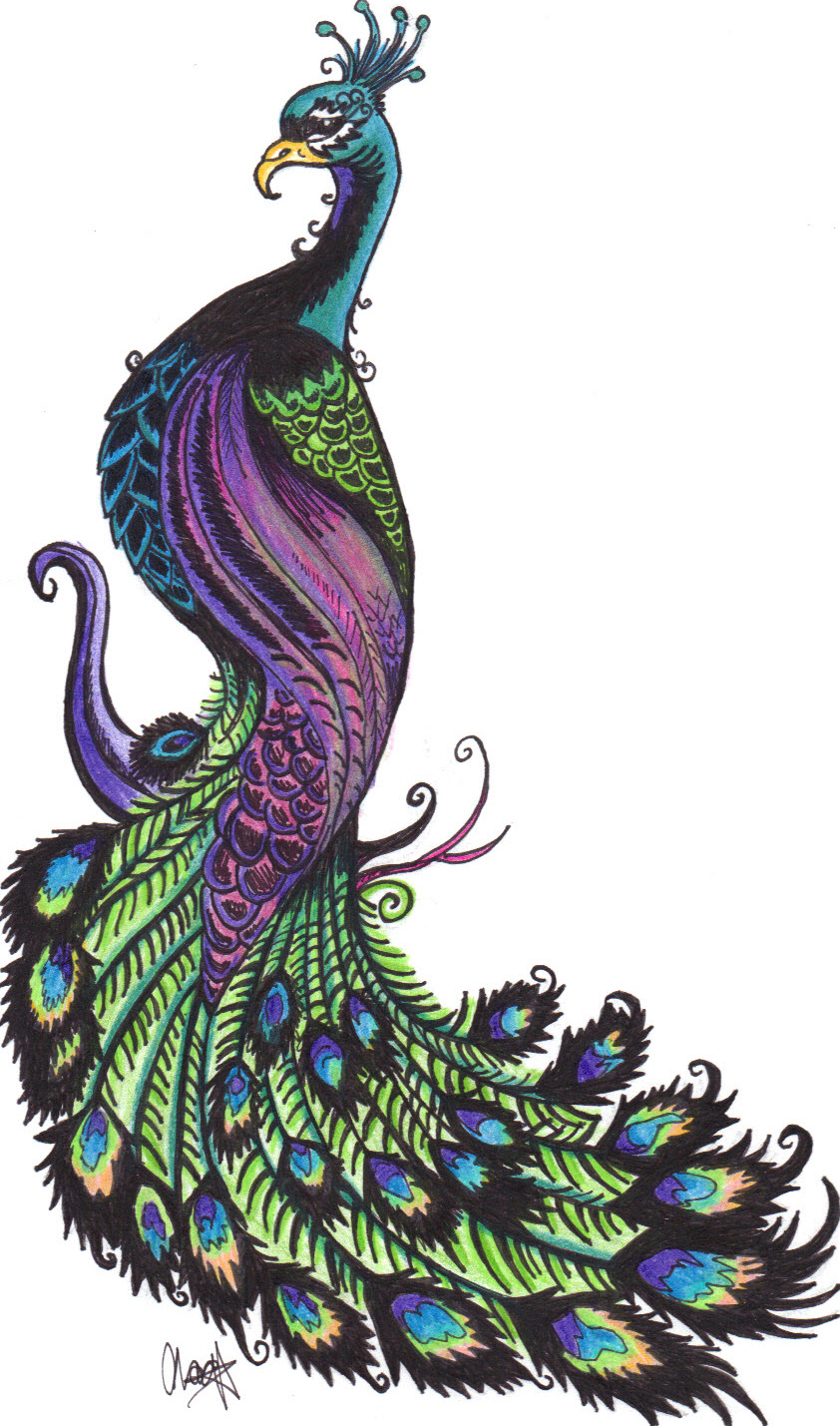 Free Simple Colorful Peacock Drawing, Download Free Clip ...